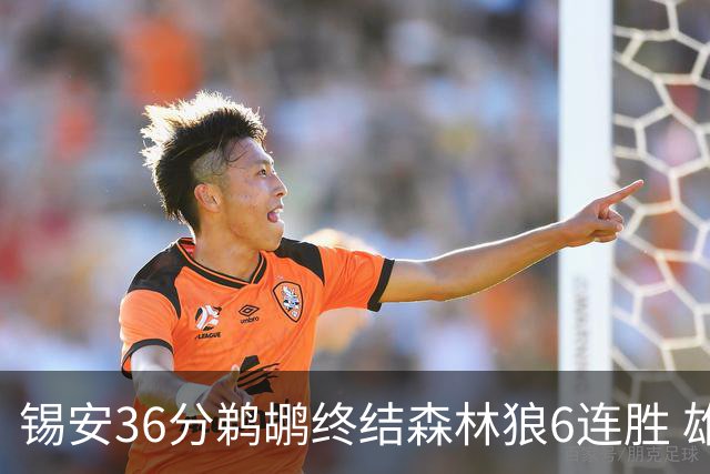 锡安36分鹈鹕终结森林狼6连胜 雄鹿险胜公牛